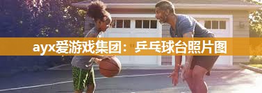 乒乓球台照片图