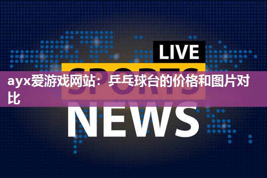 乒乓球台的价格和图片对比