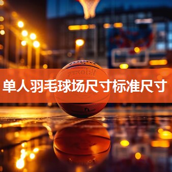 单人羽毛球场尺寸标准尺寸