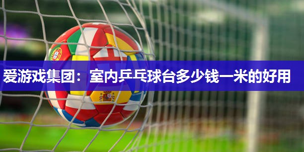 室内乒乓球台多少钱一米的好用