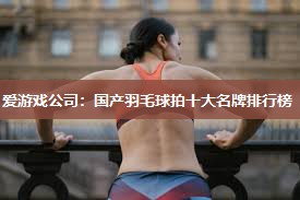 国产羽毛球拍十大名牌排行榜