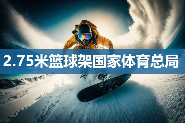 2.75米篮球架国家体育总局