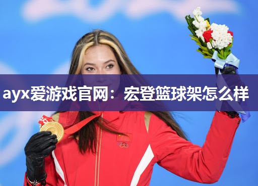 宏登篮球架怎么样