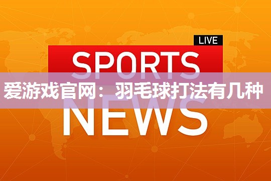 羽毛球打法有几种