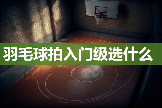 羽毛球拍入门级选什么