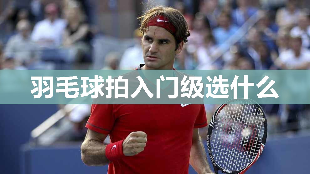 羽毛球拍入门级选什么