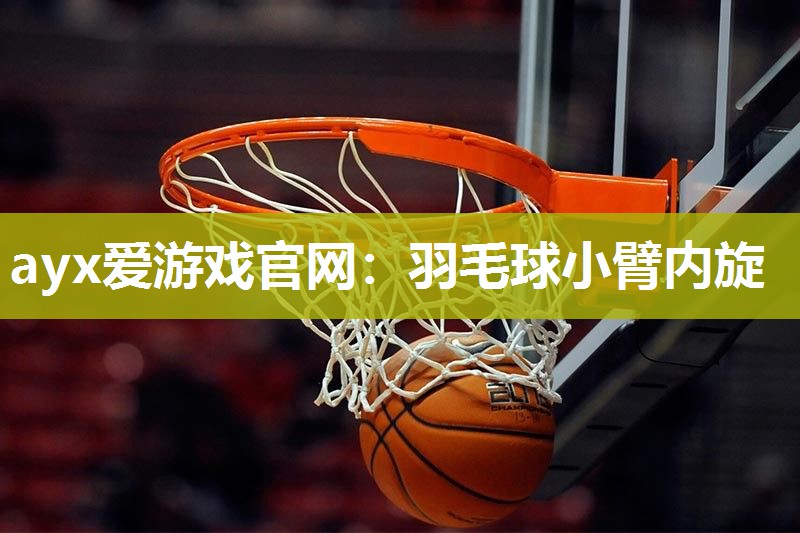 羽毛球小臂内旋