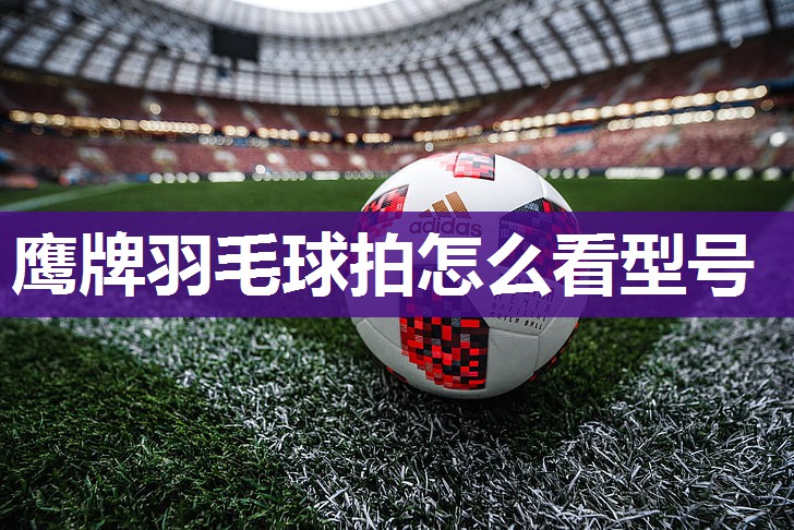 鹰牌羽毛球拍怎么看型号