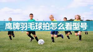 鹰牌羽毛球拍怎么看型号