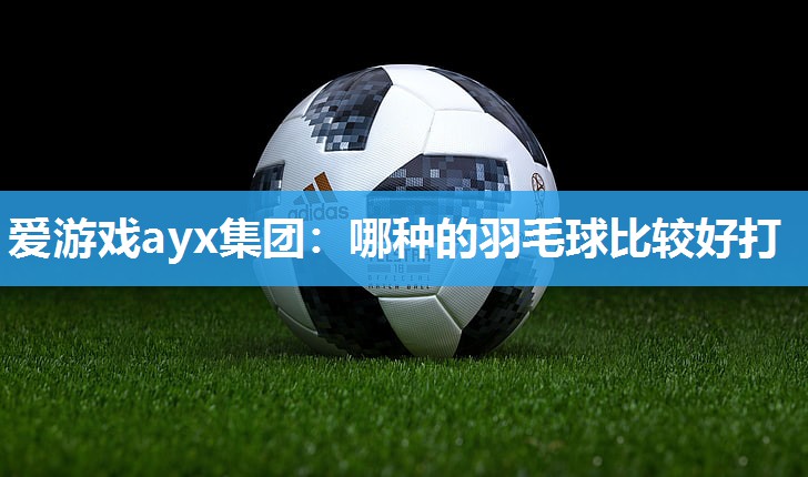 哪种的羽毛球比较好打