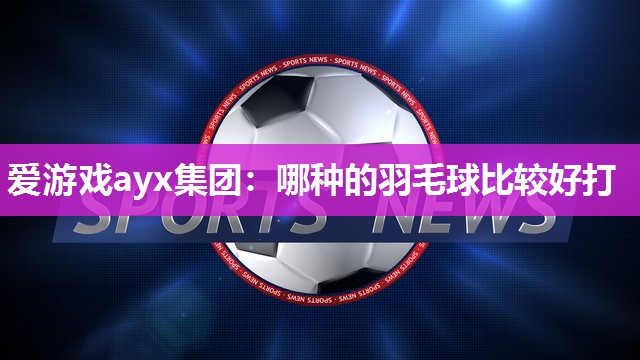 哪种的羽毛球比较好打