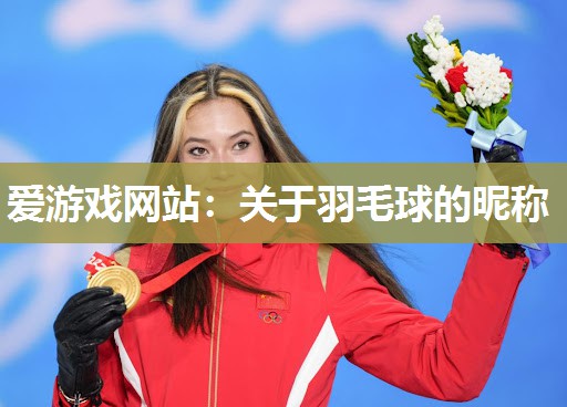 关于羽毛球的昵称