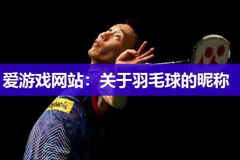 关于羽毛球的昵称
