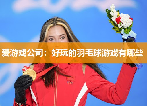 好玩的羽毛球游戏有哪些
