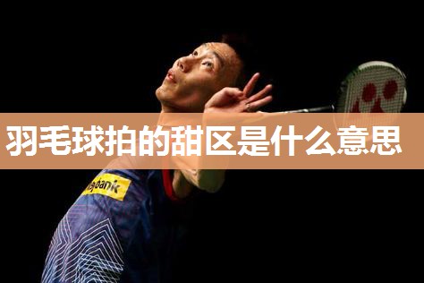 羽毛球拍的甜区是什么意思