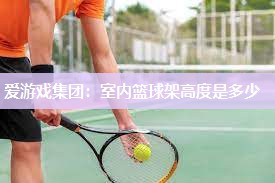 室内篮球架高度是多少
