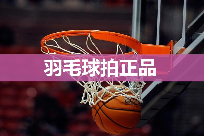 羽毛球拍正品