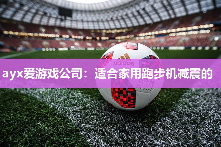 适合家用跑步机减震的